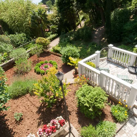 Salona * אופטיה